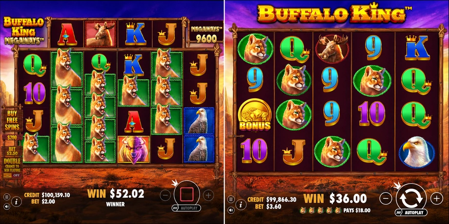 Buffalo King Megaways compared with the original Buffalo King slot